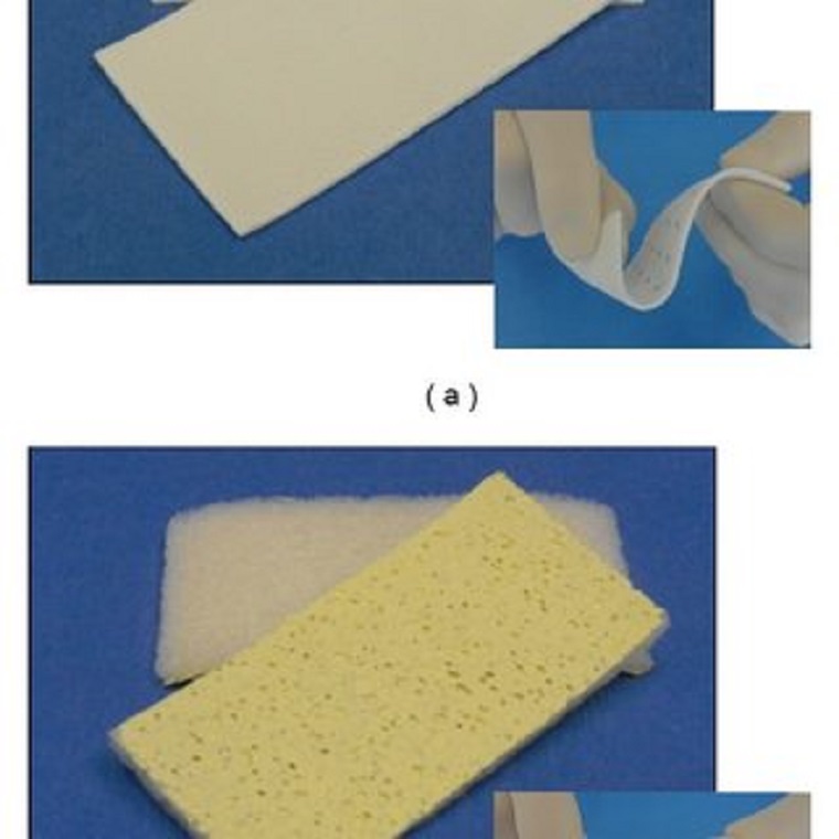 Hemopatch-sealing-hemostat-is-a-pentaerythritol-polyethylene-glycol-ether_Q320.jpg